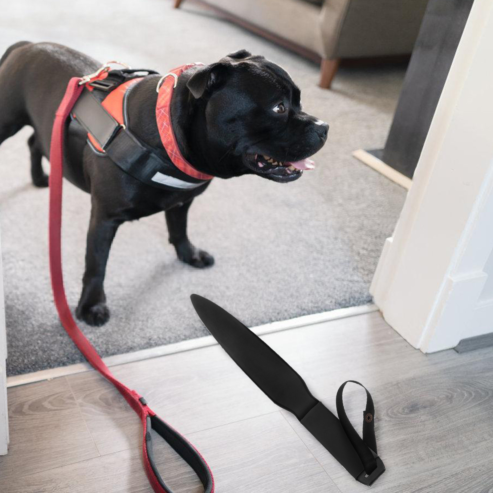 Bastone per Addestramento Cani - Power Tools Training recensione e prezzo