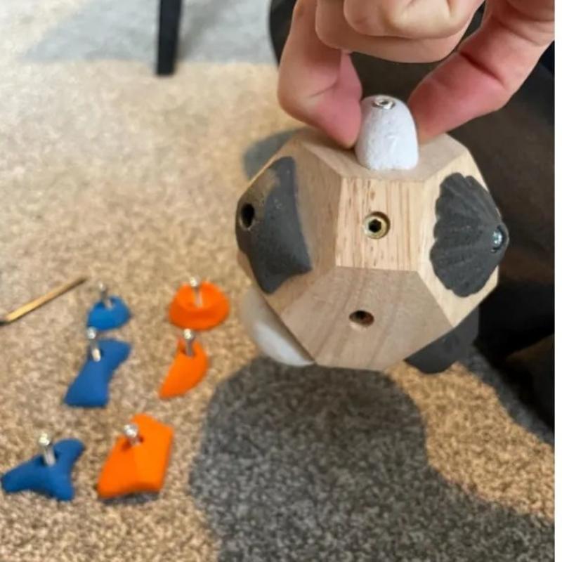 L'arrampicata con blocchi di i - Power Tools Training recensione e prezzo