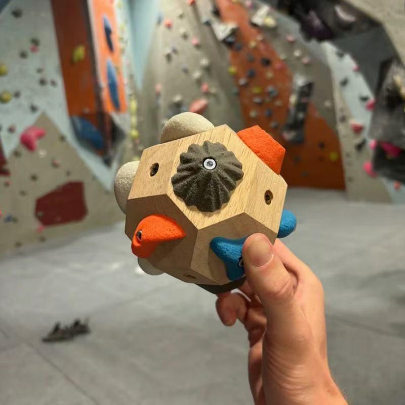 L'arrampicata con blocchi di i - Power Tools Training recensione e prezzo